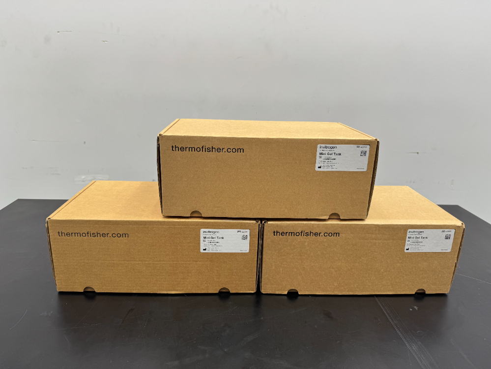 Image of Invitrogen Mini Gel Tank; Quantity: 3
